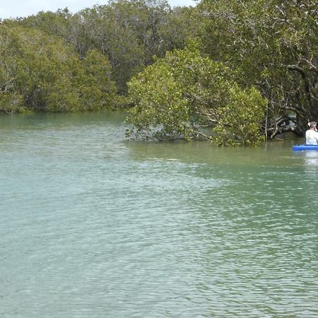 Changing Tides Bnb Paihia Exterior foto